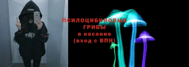 крисы Арсеньев