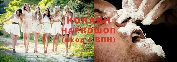 молекула духа Аркадак