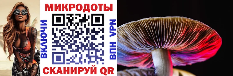 купить наркоту  Могоча  Галлюциногенные грибы Cubensis 